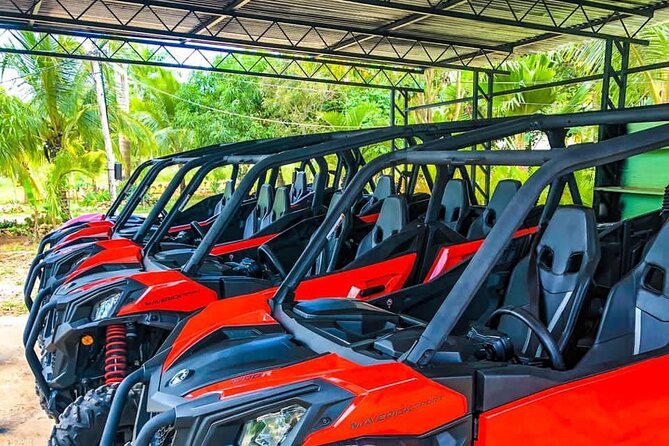 Breathtaking 4X4 Polaris Cart Tour in Punta Cana - Accessibility and Participation