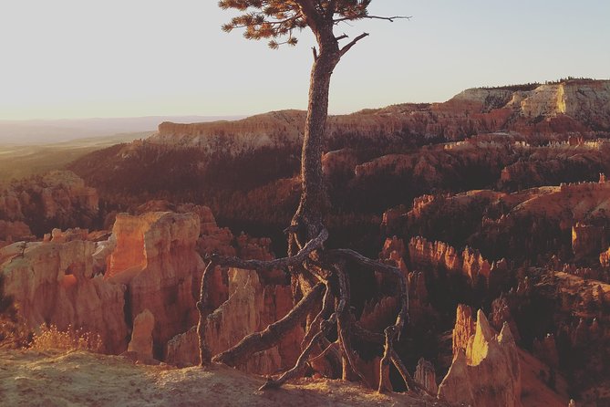 Bryce Canyon National Park: Private Guided Hike & Picnic - Physical Fitness and Accessibility