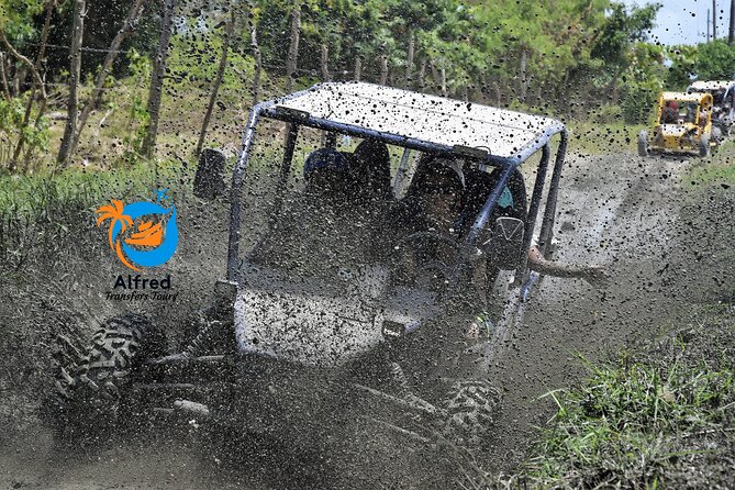 Buggy Excursion in Puerto Plata - Customer Reviews
