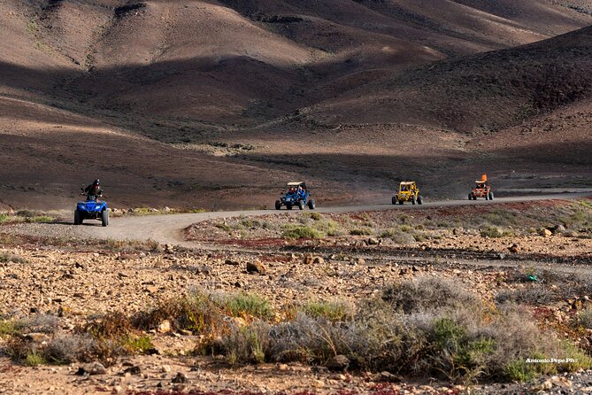 Buggy Safari in Caleta De Fuste - Cancellation Policy