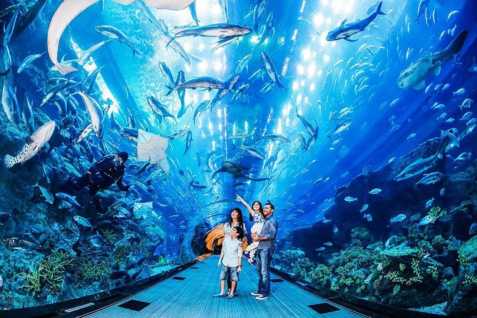 Burj Khalifa At the Top & Dubai Aquarium Combo Entrance Tickets - Package Details and Inclusions