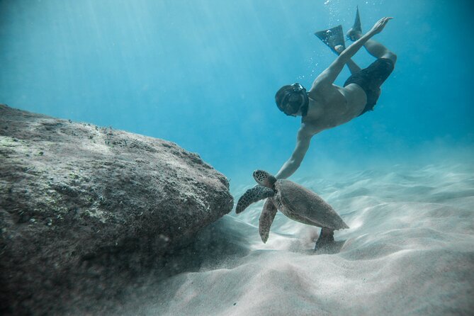 Cabo Arch & Snorkeling Tour - Additional Information and Recommendations