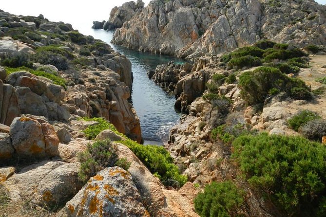 Cagliari: Full-Day Private Tour of Sardinias Hidden Beaches From Chia - Freshly Cooked Seafood Lunch