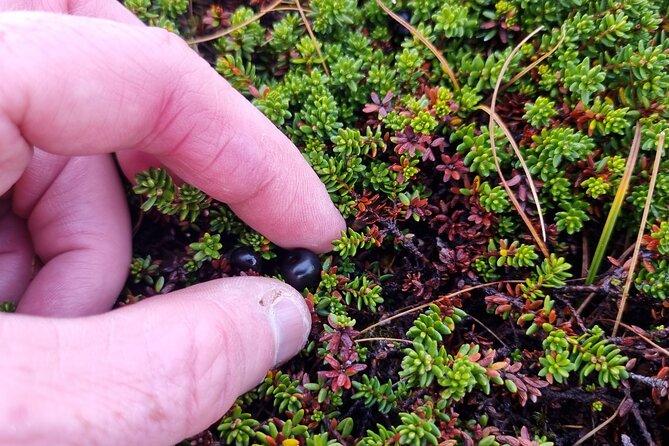 Cairn Gorm Mountain Adventure Private Hike - Important Considerations