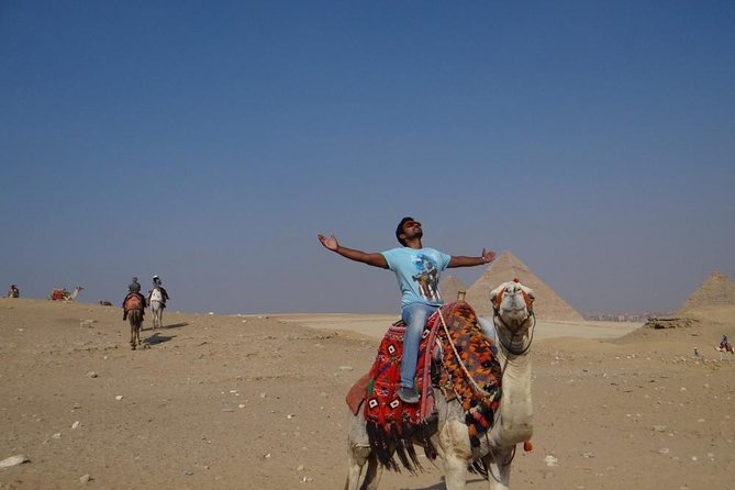 Cairo Day Tour by Air From Sharm El Sheikh Private - Pricing Information