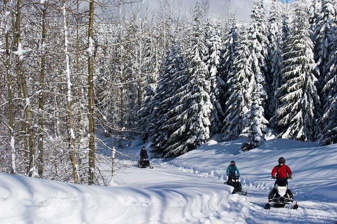 Callaghan Cruiser Snowmobile Tour - What to Expect During the Tour