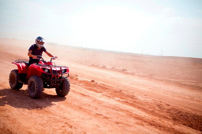 Camel Ride and Quad Bike in Palmeraie - Pricing and Cancellation