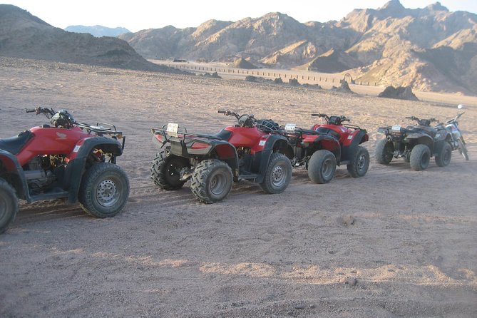 Camel Ride + Blue Hole Snorkeling + Quad Bike Tour With Lunch From Dahab - Lunch in Dahab