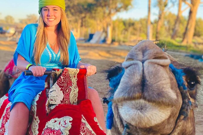 Camel Ride in Agadir at Sunset With Dinner (Bbq) - Customer Feedback and Ratings