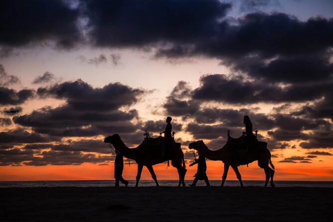 Camel Riding Experience on the Shores of the Pacific Ocean - Reservation and Cancellation Policy
