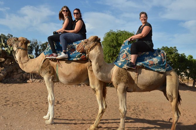 Camel Riding in Agadir for Cruise Ship Passengers - Photo Opportunities