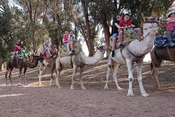 Camel Riding - Inclusions of the Experience