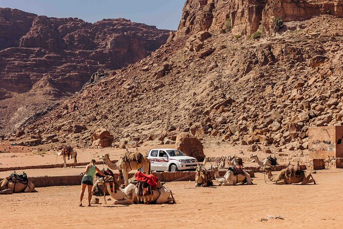 Camel Tours in Wadi Rum Desert | Magic Bedouin Star - Booking Process and Options