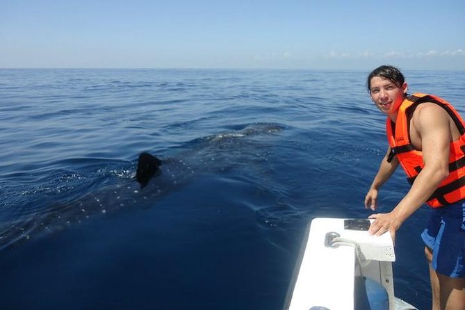 Cancun Whale Shark Tour With Transportation - Customer Experiences