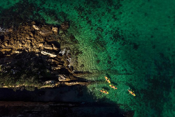 Canoeing in Marine Reserve Near Lisbon - Personalized Guided Tours