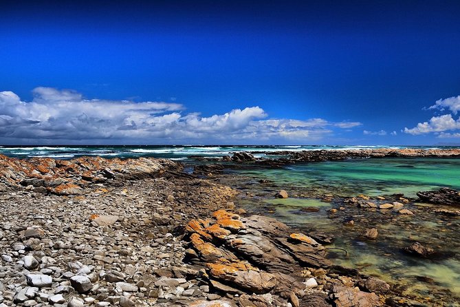 Cape Agulhas | Stony Point Nature Reserve - Traveler Reviews