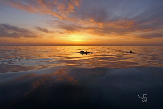 Cape Kamenjak Guided Kayak Sunset Tour With Island Exploring - Additional Information