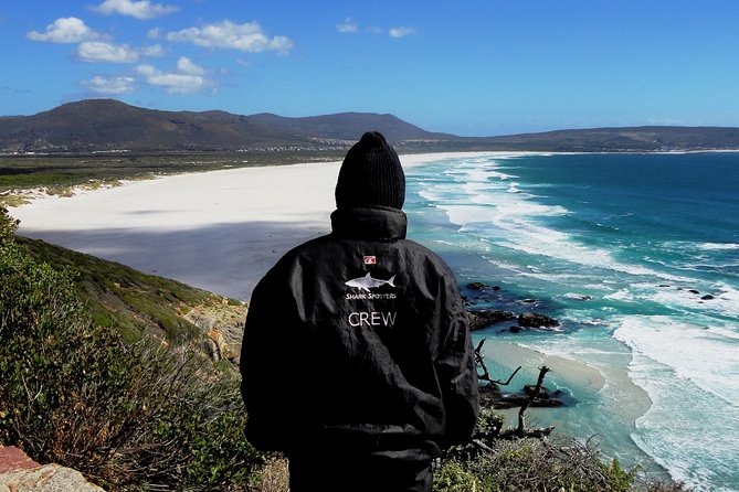 Cape of Good Hope, Cape Point & Penguins Private Afternoon Tour - Experienced Local Guide