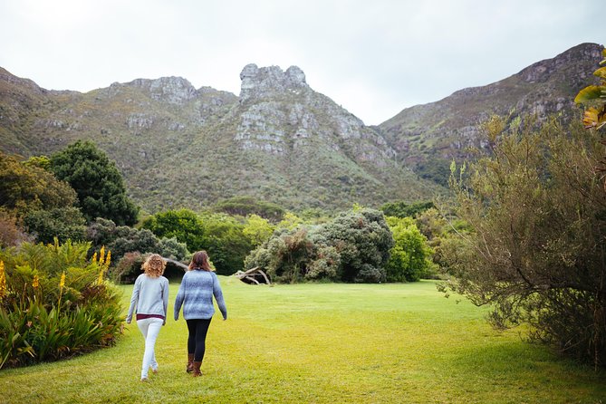 Cape of Good Hope & Penguin Small Group Tour From Cape Town - Tour Considerations