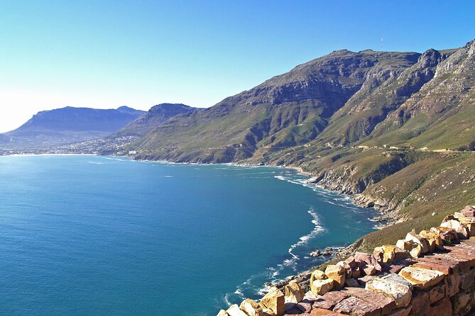 Cape Town: Cape Peninsula Half Day Private Tour - Traveler Experiences and Reviews