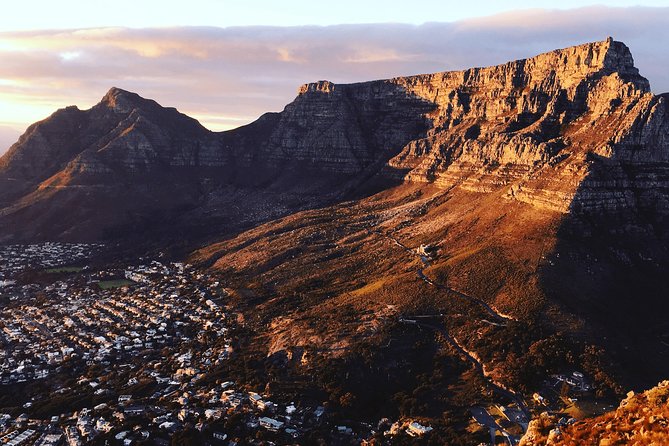 Cape Town City Tour Half-Day - Accessibility Features