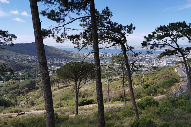 Cape Town City Tour Including Lions Head With Wi-Fi on Board. - Accessibility and Amenities