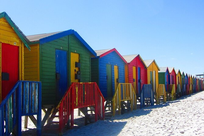 Cape Town Private Group Tour to Cape of Good Hope and Boulders Penguins Colony - Pickup and Meeting Details