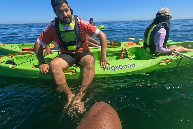 Cape Town Sea Kayaking Adventure Launching From V&A Waterfront - Pricing and Cancellation Policy