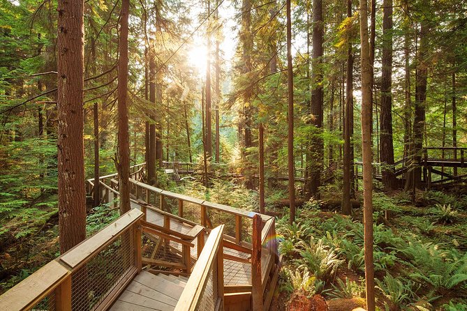 Capilano Suspension Bridge Park Ticket - Visitor Accessibility
