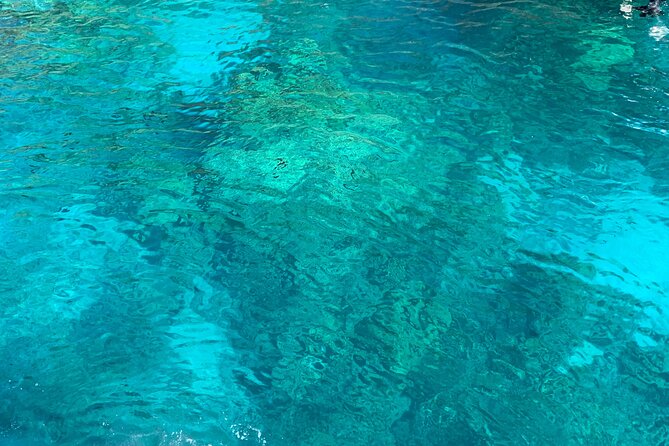 Captain Cook Reef Snorkeling of Kealakekua Bay - Customer Reviews and Feedback