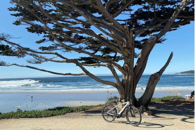 Carmel-By-The-Sea Electric Bike Guided Tour - Traveler Feedback and Experiences