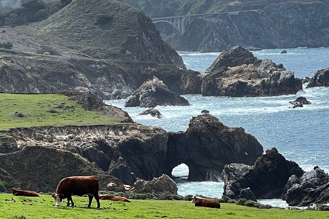 Carmel, Monterey and Big Sur Tour Private Tour From San Francisco - Booking Details