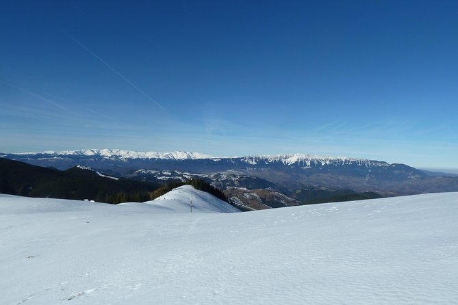 Carpathians in Romania: Piatra Craiului National Park With Native Spanish Guide. - Inclusions and Exclusions