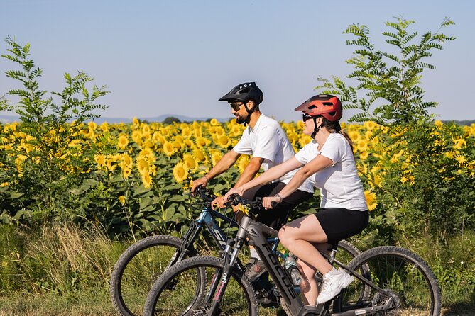 Castiglion Fiorentino - Ebike Tour and Wine Tasting [+40€] - Pricing and Booking