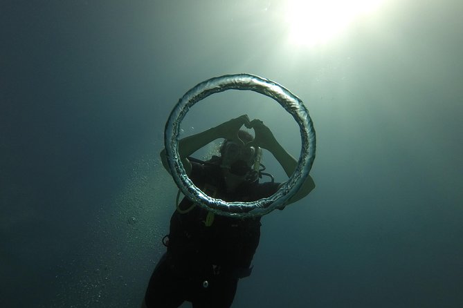 Catalina Island Scuba Diving - Amazing Full Day Tour! - Positive Feedback