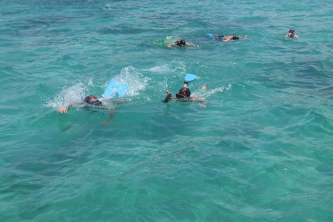 Catamaran Cruise: Isle Aux Cerfs, Including BBQ Lunch, in Mauritius - Experiencing the Snorkeling Adventure