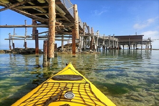 Cavalluccio Kayak Excursion in Fossacesia - Ideal for Various Skill Levels