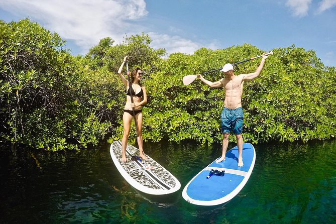 Cenote Paddleboarding and Snorkeling in Tulum - Transportation and Meeting Details