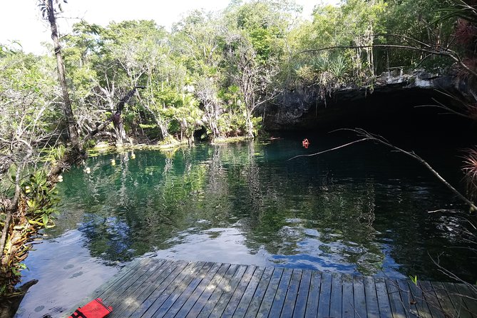 Cenote Tankah 4 Cenotes & Zip-Line Mayan Adventure - Customer Feedback