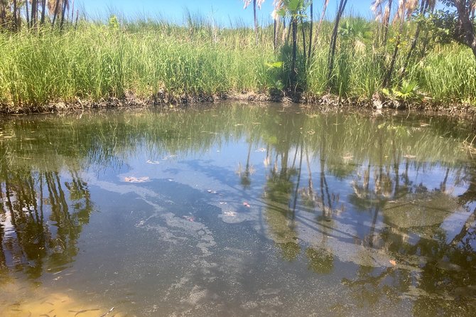 Cenotes Bike Tour With Food - Traveler Feedback and Experiences