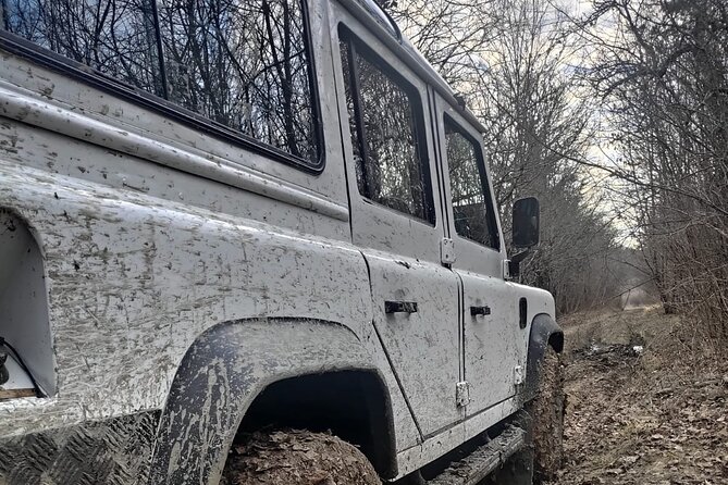 Central Istria Gastro and Off Road Half-Day Private Guided Tour - Pricing and Cancellation