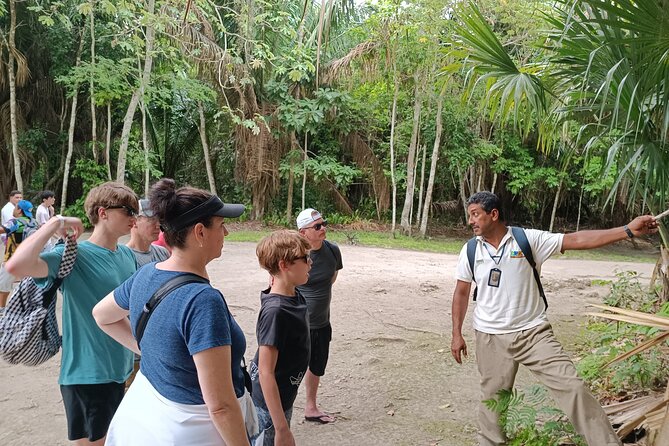 Chacchoben Mayan Ruins Excursion - Customer Experiences and Feedback
