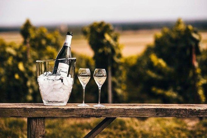 Champagne Lamiable: Stroll and Taste in the Grand Cru Champagne Vineyard - Tasting of Distinct Champagne Cuvées