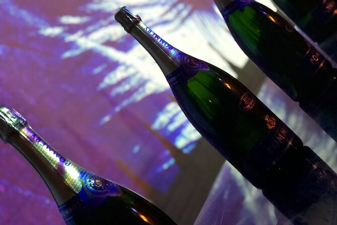 Champagne Lovers Full-Day Private Mercedes Tasting Tour  - Reims - Support and Information