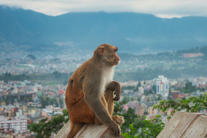 Chandragiri Cable Car Ride and Half Day Kathmandu Sightseeing - Pickup and Meeting Points