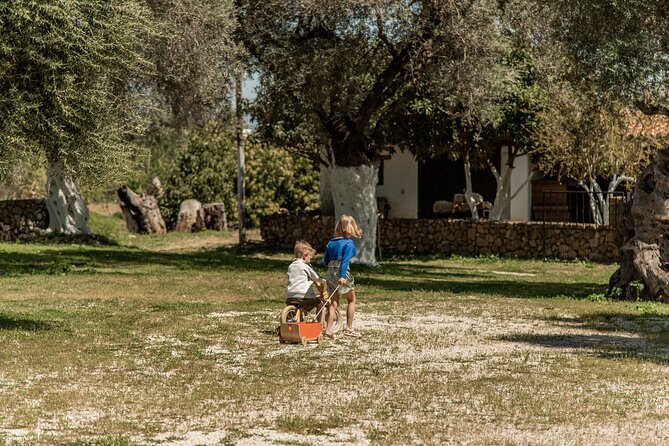 Chania Luxury Jeep Safaris: Secrets of Wine & Olive Oil Tastings - Pricing Breakdown