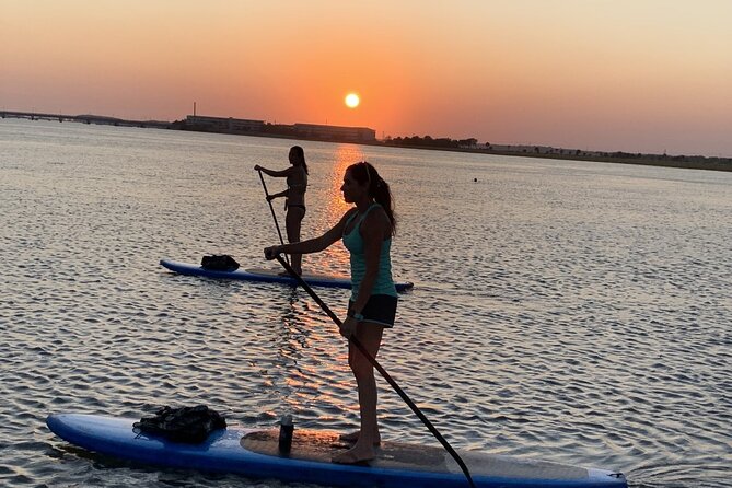 Charleston/Folly Beach Stand up Paddleboard Tour - Pricing and Availability