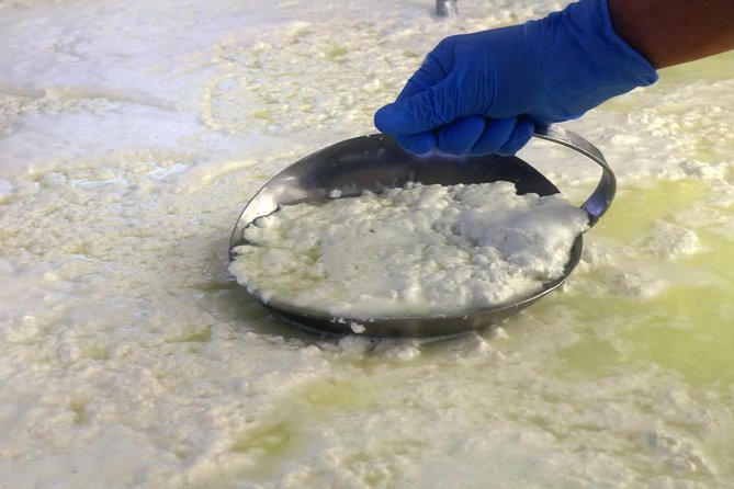 Cheesemaker for a Day & Visit to the Dairy - What To Expect