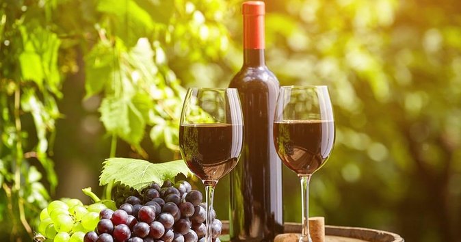 Chianti and Supertuscan Private Tour With Lunch From Livorno - Tour Participant Photos