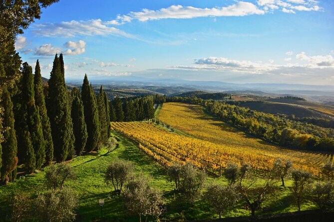 Chianti & Supertuscan Private Tour 2 Wineries With Light Lunch - Tour Highlights